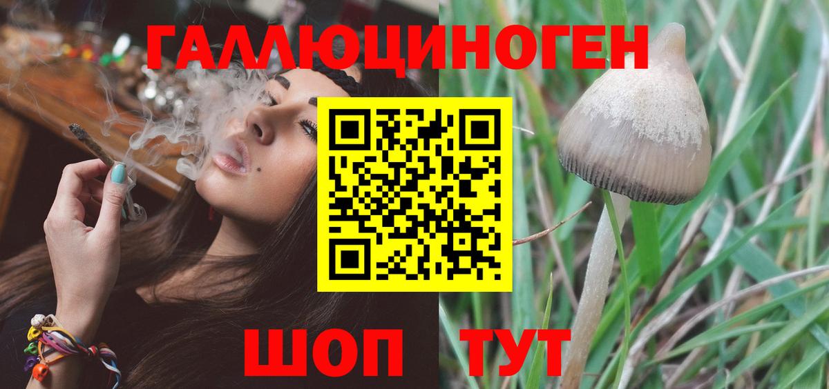 Псилоцибиновые грибы Cubensis  Псилоцибиновые грибы Cubensis  Вход с VPN  Ревда 